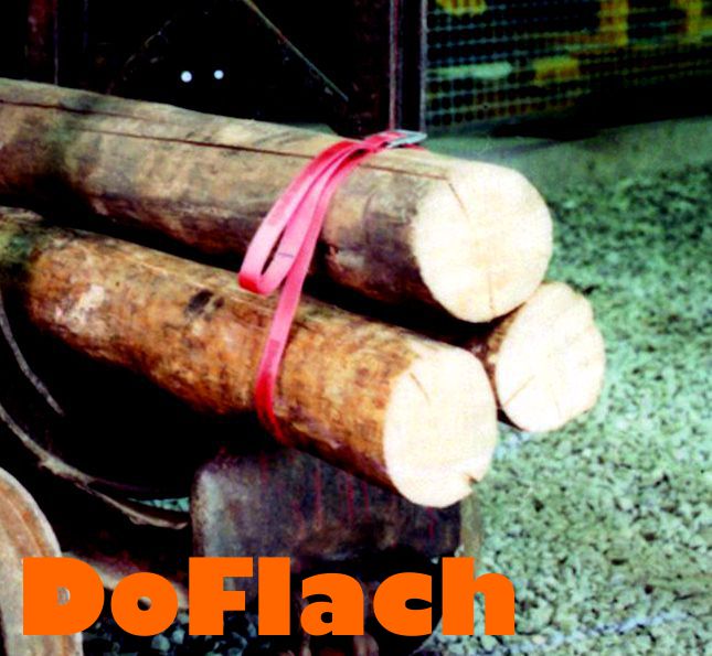 DoFlach1 DoFlach1